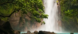 If the air in your data center feels like a jungle, than something is very wrong. 