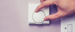 Keeping an eye on server room temperature can enhance energy efficiency.