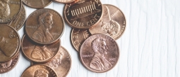 Penny pinching is more important in colocation centers than you might think. 