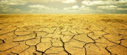 The California drought could become a major issue for companies operating data centers out of that state.